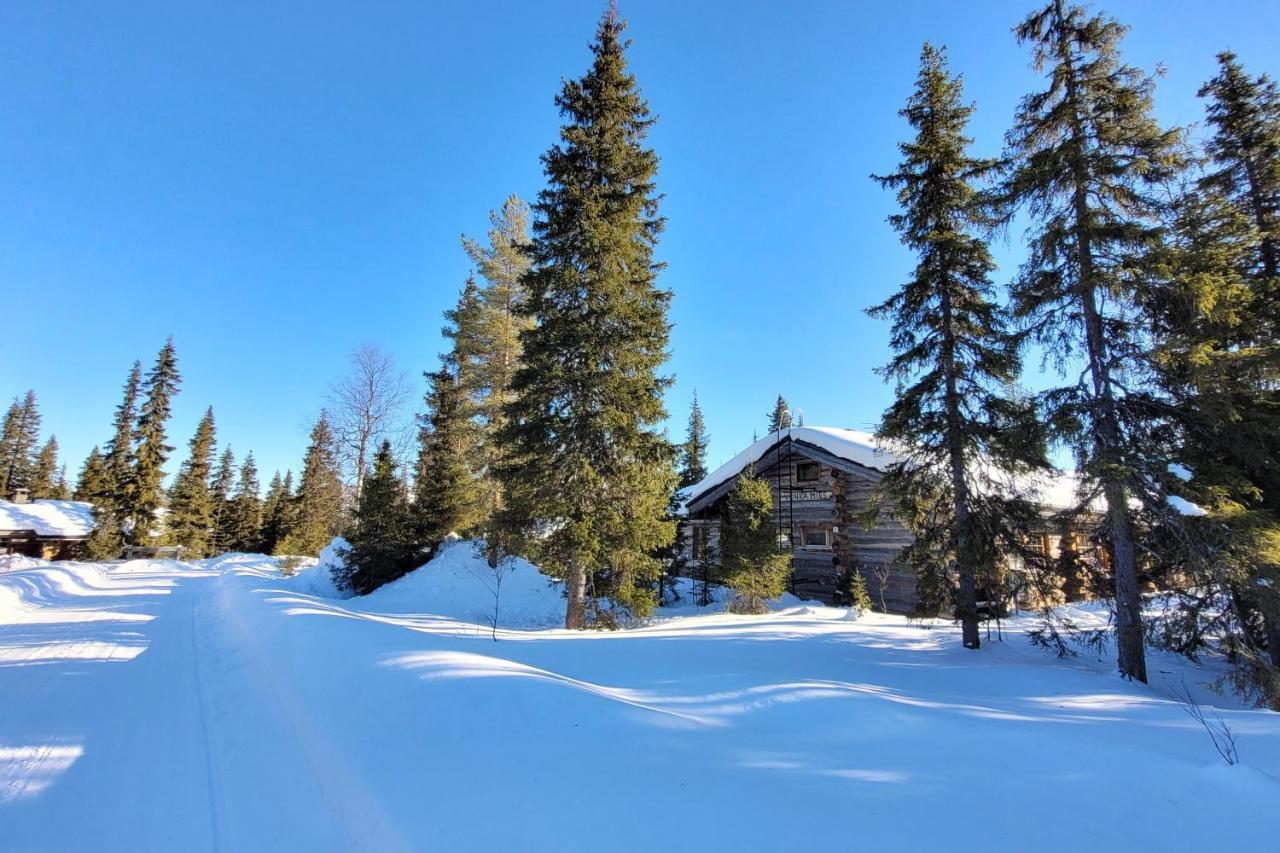 Holiday Home Vonkamies Luosto Dış mekan fotoğraf